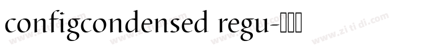 configcondensed regu字体转换